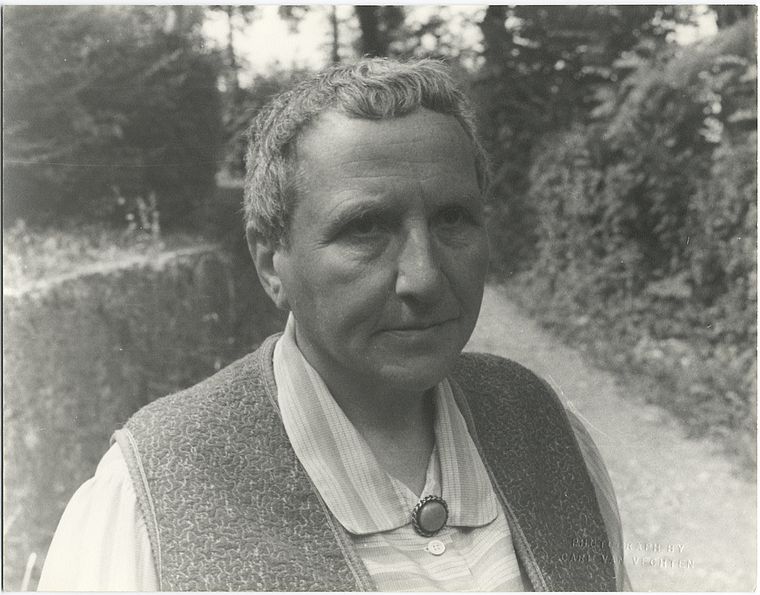 Gertrude Stein se tient au milieu d'une photographie en noir et blanc. Ses cheveux poivre et sel sont coupés très courts. Elle regarde un peu à droite de l'appareil, l'air pensif. Elle porte une chemise pâle, lignée à la verticale, et une veste foncée sans manches par-dessus. Une broche ronde et foncée ferme son collet. Derrière elle, un chemin entouré d'arbres. 