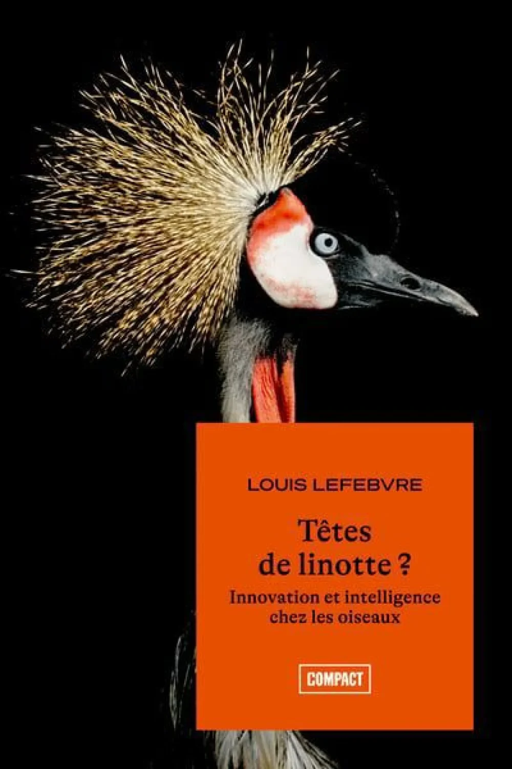 Pantoute